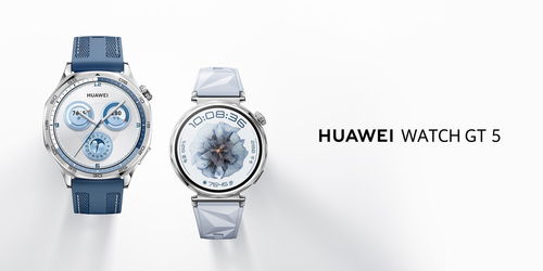 華為Watch GT 5智能手表國(guó)行售價(jià)公布 雙尺寸不銹鋼機(jī)身，1488元起
